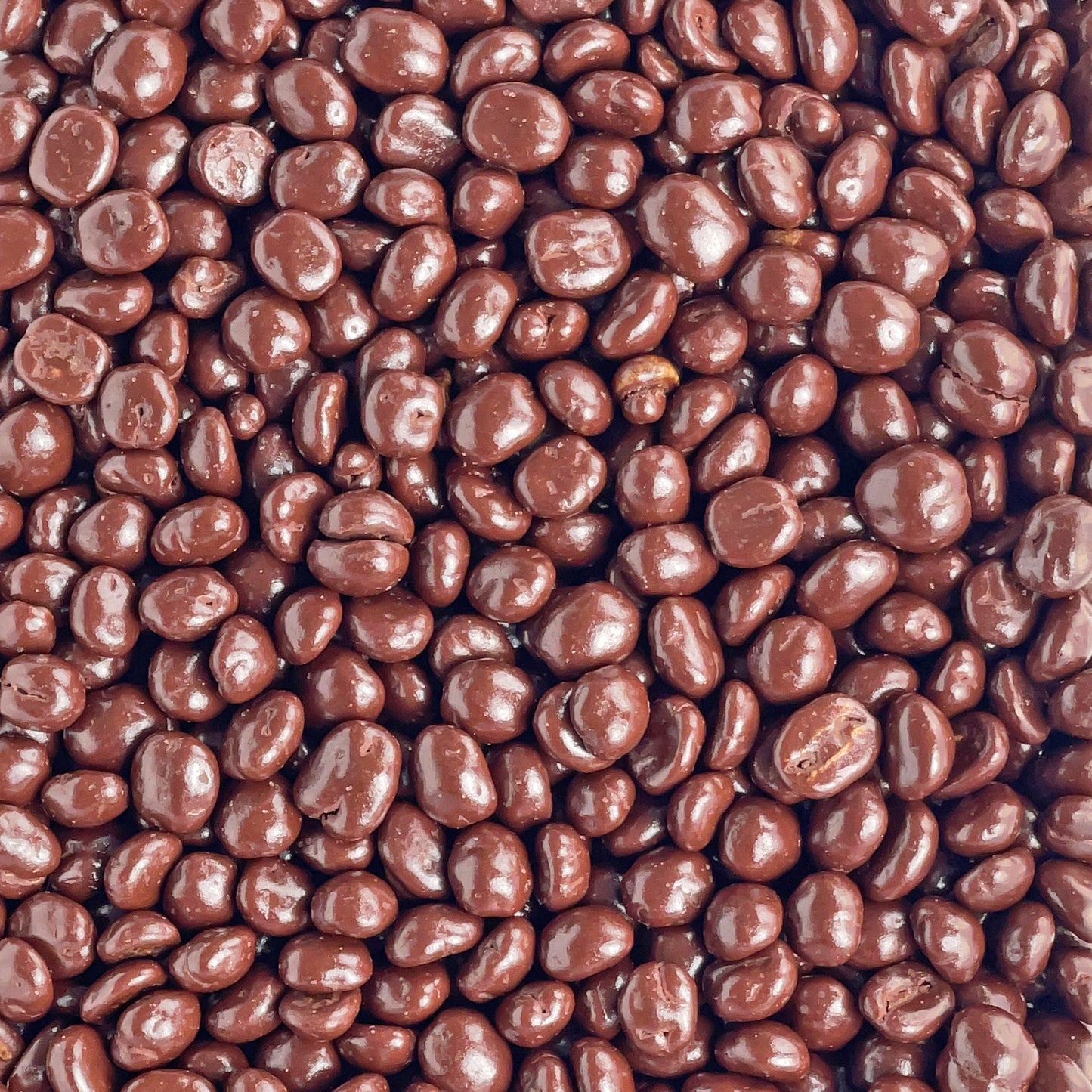Glänzende schokolierte Kaffeebohnen mit Zartbitterschokolade.